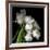 Frayed Tulips-Magda Indigo-Framed Giclee Print