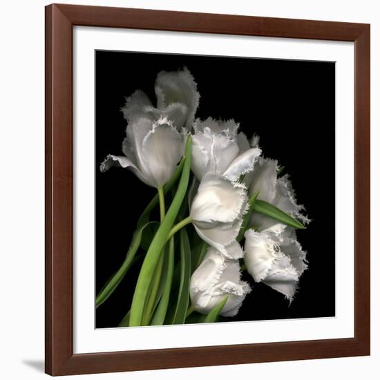 Frayed Tulips-Magda Indigo-Framed Giclee Print