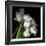 Frayed Tulips-Magda Indigo-Framed Giclee Print