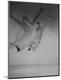 Premium Photographic Print