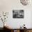 Fred Bays Sitting at His Desk at the Democratic State Headquarters-Hansel Mieth-Premium Photographic Print displayed on a wall