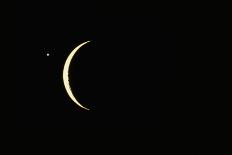 Photo of Venus & Crescent Moon-Fred Espenak-Mounted Photographic Print