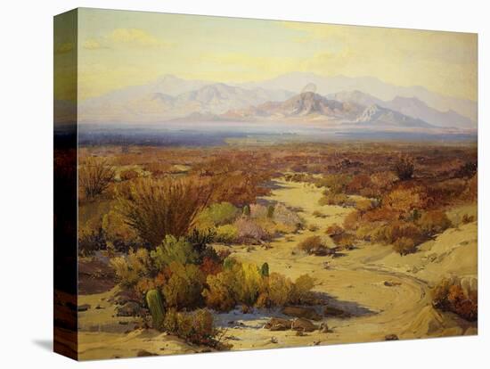 Stretched Canvas Print, , large