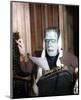 Fred Gwynne - The Munsters-null-Mounted Photo