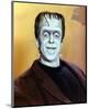 Fred Gwynne - The Munsters-null-Mounted Photo