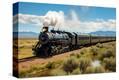 Stretched Canvas Print