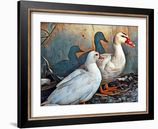 Fred & Lucy Duck Family-sylvia pimental-Framed Art Print