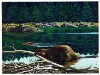 Lowland Beaver-Fred Ludekens-Giclee Print