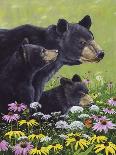 Black Bears-Fred Szatkowski-Art Print