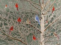 Ornaments-Fred Szatkowski-Framed Art Print