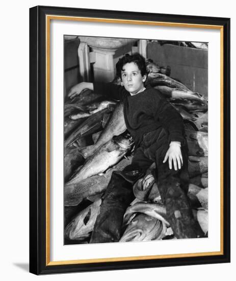 Freddie Bartholomew-null-Framed Photo