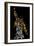 Freddie Mercury-Cristian Mielu-Framed Premium Giclee Print