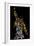 Freddie Mercury-Cristian Mielu-Framed Premium Giclee Print