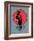 Freddie-David Brodsky-Framed Art Print