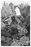 A Gully in the Blue Mountains, Australia, 1886-Frederic B Schell-Giclee Print