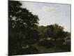 Premium Giclee Print