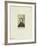 Frederic J. Shields, 1864-null-Framed Photographic Print