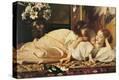 Stretched Canvas Print