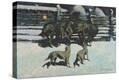 Stretched Canvas Print