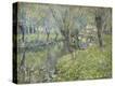 Stretched Canvas Print
