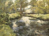 Summer Reflections-Frederick Charles Vipont Ede-Giclee Print