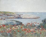 Bailey's Beach, Newport, R.I.-Frederick Childe Hassam-Stretched Canvas
