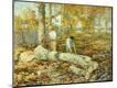 Premium Giclee Print