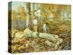 Stretched Canvas Print