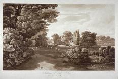 Thornton: Auriculas-Frederick Christian Lewis-Framed Giclee Print