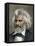 Frederick Douglass Portrait-null-Framed Premier Image Canvas