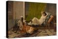 Stretched Canvas Print