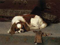 King Charles Spaniel Resting-Frederick Hall-Stretched Canvas