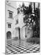 Photographic Print