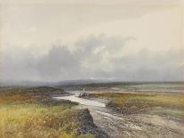 Tavy Cleave, Dartmoor , C.1895-96-Frederick John Widgery-Giclee Print