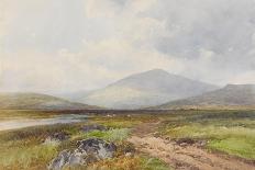 Sacred Circle, Mis Tor, Langstone Moor, Dartmoor , C.1895-96-Frederick John Widgery-Giclee Print