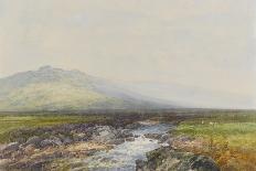 Sacred Circle, Mis Tor, Langstone Moor, Dartmoor , C.1895-96-Frederick John Widgery-Framed Giclee Print