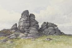 Valley of the Rocks on the West Okement , C.1895-96-Frederick John Widgery-Giclee Print