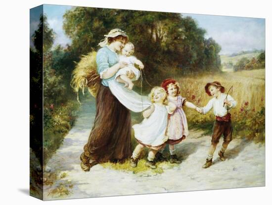 Stretched Canvas Print, , large