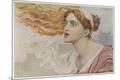 Premium Giclee Print