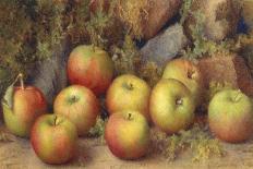 Still Life of Apples-Frederick Spencer-Giclee Print