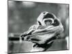 Photographic Print