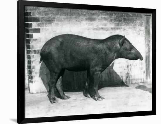 Photographic Print, , large