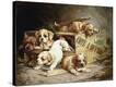 Stretched Canvas Print