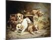 Giclee Print