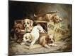 Giclee Print