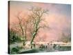 Stretched Canvas Print