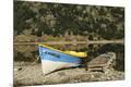Premium Photographic Print