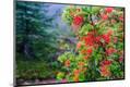 Premium Photographic Print