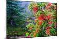 Photographic Print