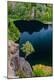 Premium Photographic Print